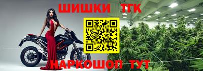 шишки Будённовск